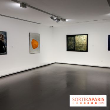 Anna-Eva Bergman, nos photos de l'expo à Paris