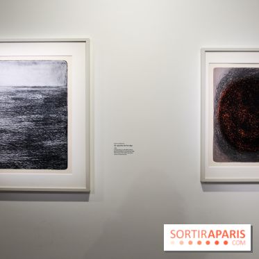 Anna-Eva Bergman, nos photos de l'expo à Paris