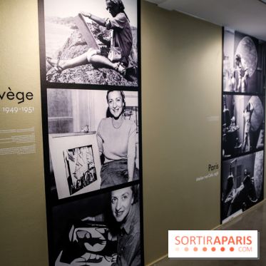 Anna-Eva Bergman, nos photos de l'expo à Paris