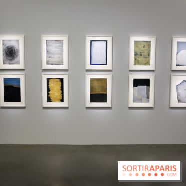 Anna-Eva Bergman, nos photos de l'expo à Paris