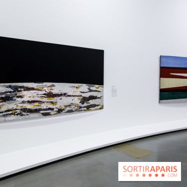 Anna-Eva Bergman, nos photos de l'expo à Paris