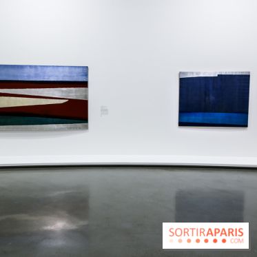 Anna-Eva Bergman, nos photos de l'expo à Paris