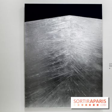 Anna-Eva Bergman, nos photos de l'expo à Paris