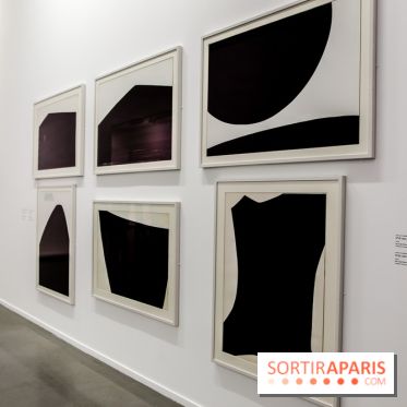Anna-Eva Bergman, nos photos de l'expo à Paris