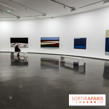 Anna-Eva Bergman, nos photos de l'expo à Paris