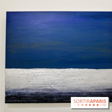 Anna-Eva Bergman, nos photos de l'expo à Paris