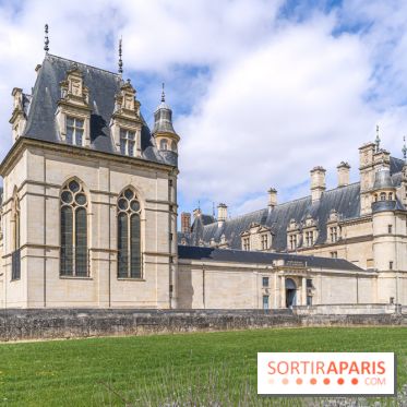 Château d'Écouen - Musée national de la Renaissance  -  A7C8656