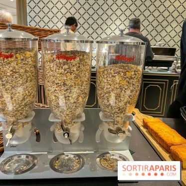 Dream Castle Hôtel, le 4**** familial à côté de Disneyland - BC05B055 38B4 4CF7 B189 918DB078F578