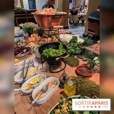 Dream Castle Hôtel, le 4**** familial à côté de Disneyland - CA3992C1 25BD 44FA AB07 F2A20E1D5F32