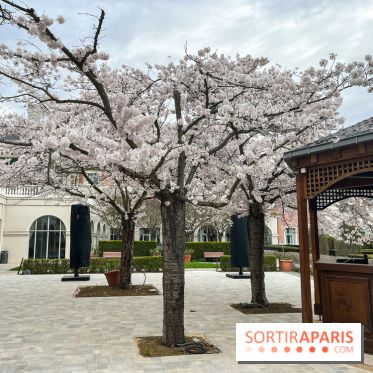 Dream Castle Hôtel, le 4**** familial à côté de Disneyland - C537F219 0AFE 440D ACF1 6CF74EC031AE