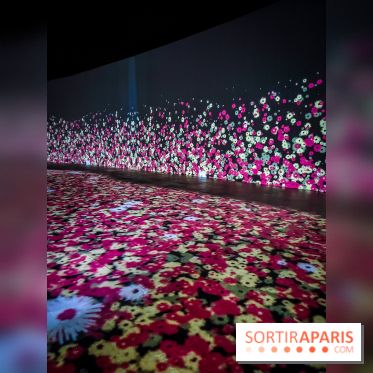 Songlines, l'exposition du musée du Quai Branly qui nous plonge dans les légendes australiennes  - IMG20230403101241