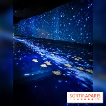 Songlines, l'exposition du musée du Quai Branly qui nous plonge dans les légendes australiennes  - IMG20230403101305