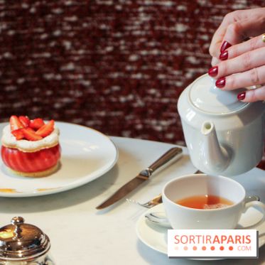 Butterfly Pâtisserie de Matthieu Carlin à l'Hôtel de Crillon - Table du Salon de Thé (3)