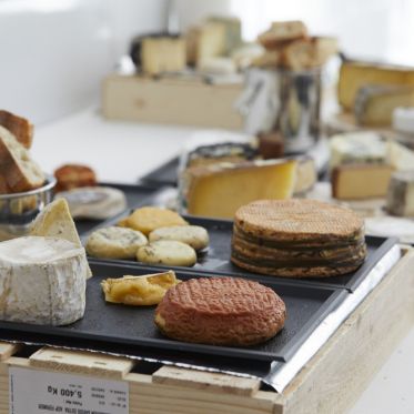 Dégustation de saké japonais, Shochu et Awamori - 7