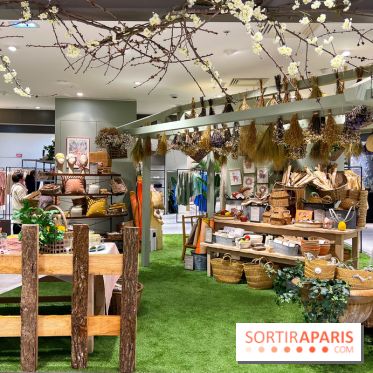 Partie de Campagne au BHV - image00015