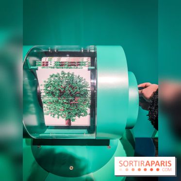 Métamorphoses, l'exposition poétique à découvrir à la Cité des Sciences et de l'Industrie