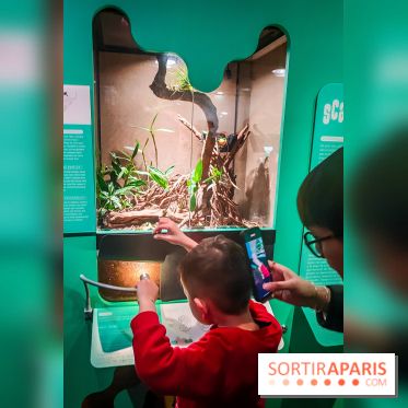 Métamorphoses, l'exposition poétique à découvrir à la Cité des Sciences et de l'Industrie  - IMG20230405144412