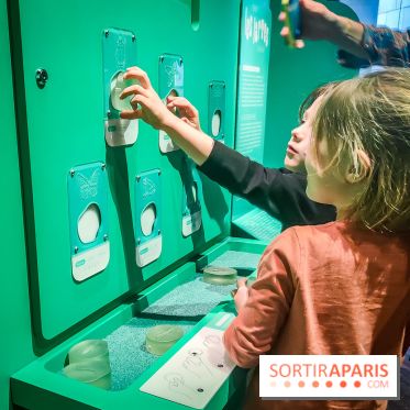 Métamorphoses, l'exposition poétique à découvrir à la Cité des Sciences et de l'Industrie  - IMG20230405144226