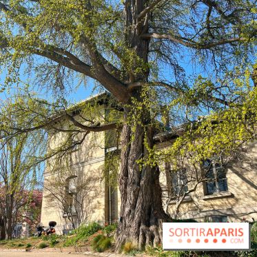 Le Jardin des Serres d'Auteuil - IMG 1492