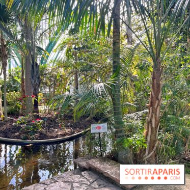 Le Jardin des Serres d'Auteuil - IMG 1527