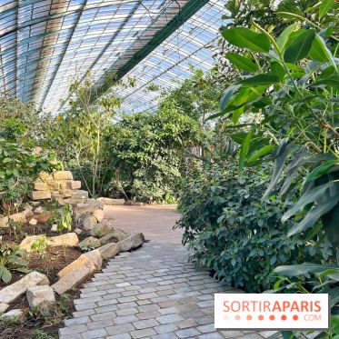 Le Jardin des Serres d'Auteuil - IMG 1529