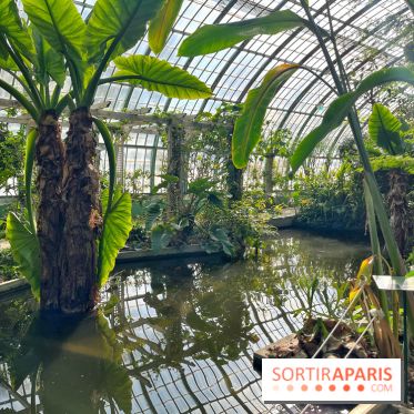 Le Jardin des Serres d'Auteuil - IMG 1542