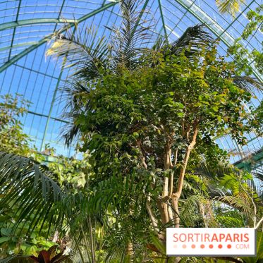 Le Jardin des Serres d'Auteuil - IMG 1550