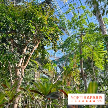 Le Jardin des Serres d'Auteuil - IMG 1552