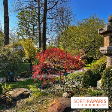 Le Jardin des Serres d'Auteuil - IMG 1556