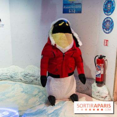 Aquarium Sea Life - IMG 8399