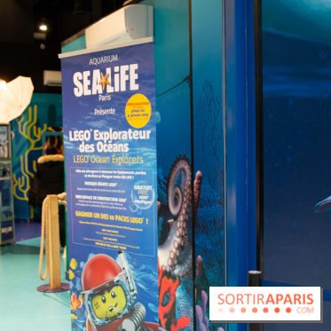 Aquarium Sea Life - IMG 8400