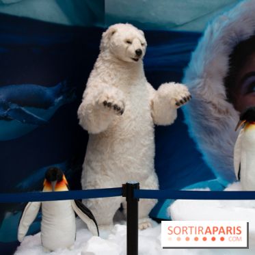 Aquarium Sea Life - IMG 8401