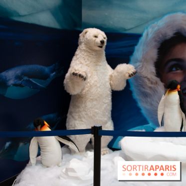 Aquarium Sea Life - IMG 8402