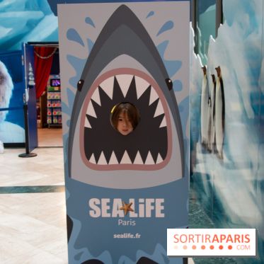 Aquarium Sea Life - IMG 8403