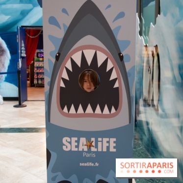 Aquarium Sea Life - IMG 8404