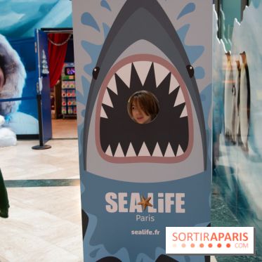 Aquarium Sea Life - IMG 8405