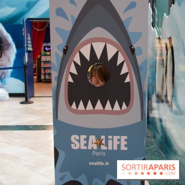 Aquarium Sea Life - IMG 8406