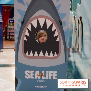 Aquarium Sea Life - IMG 8407