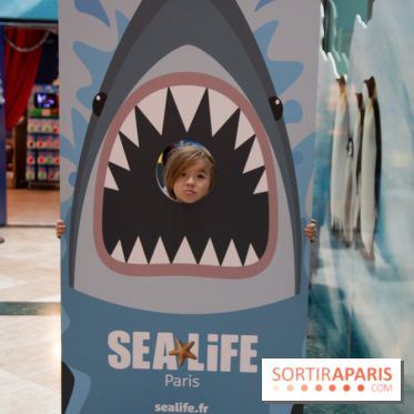 Aquarium Sea Life - IMG 8408