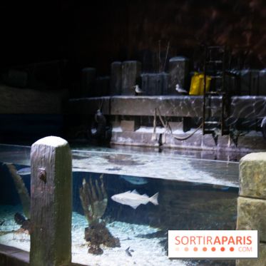 Aquarium Sea Life - IMG 8389