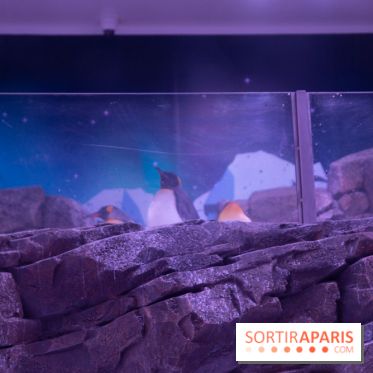 Aquarium Sea Life - IMG 8390