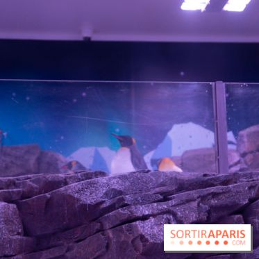Aquarium Sea Life