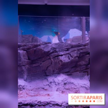 Aquarium Sea Life - IMG 8392