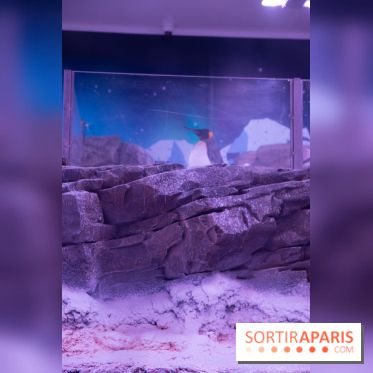 Aquarium Sea Life - IMG 8393