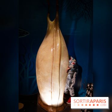 Aquarium Sea Life - IMG 8380