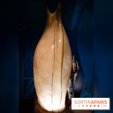 Aquarium Sea Life - IMG 8381