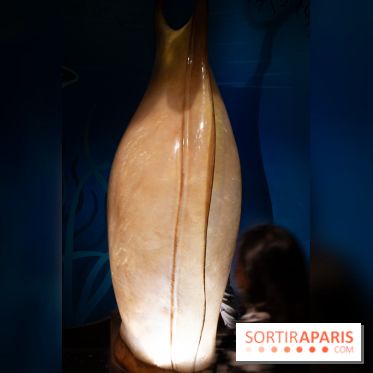 Aquarium Sea Life - IMG 8382