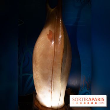 Aquarium Sea Life - IMG 8383