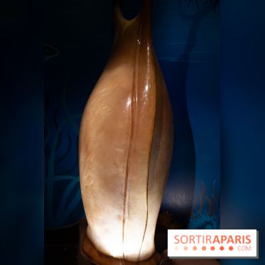 Aquarium Sea Life - IMG 8384