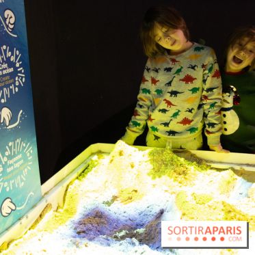 Aquarium Sea Life - IMG 8372